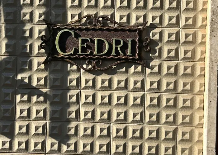 Casa Mimose 아파트 코골레토